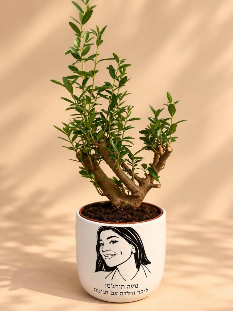 עציץ הזיכרון