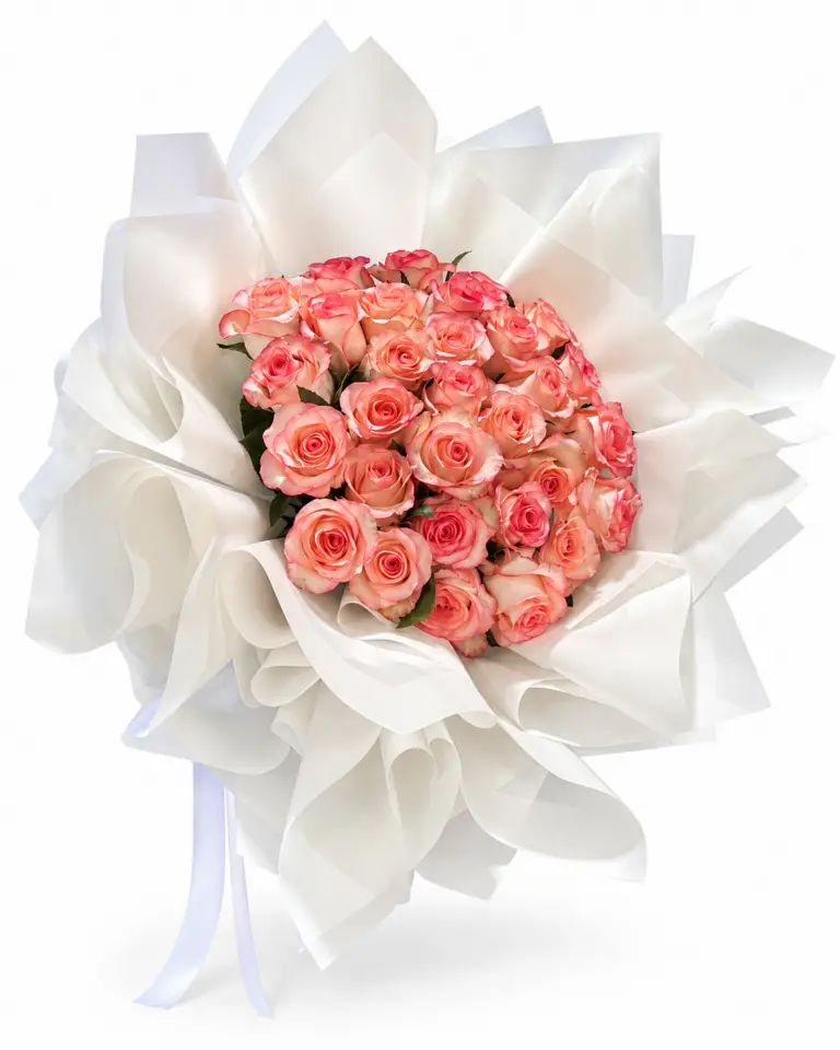 30 Jamila Roses | המוצר על רקע לבן
