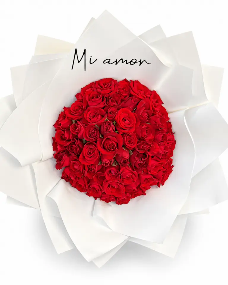 50 Red Roses | המוצר על רקע לבן