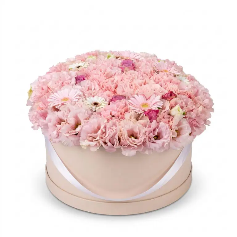 Luxury Pink Box על רקע לבן