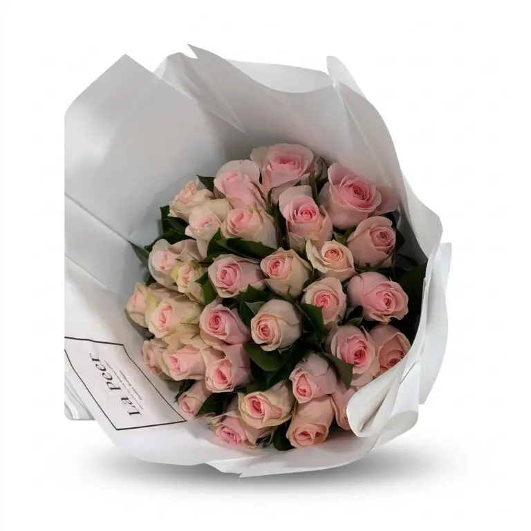 30 Roses Titanic על רקע לבן